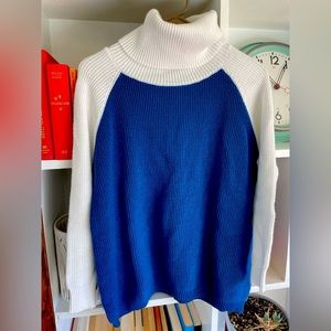 Colorblock Sweater Turtleneck
